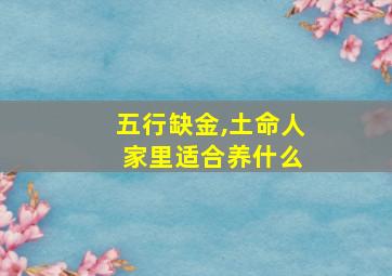 五行缺金,土命人 家里适合养什么